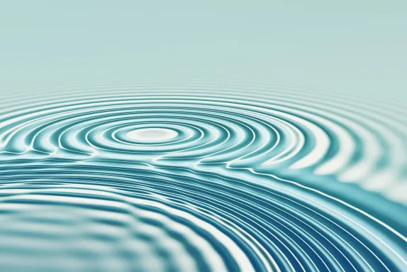 Cazino Mr Spin Cazinou Suport